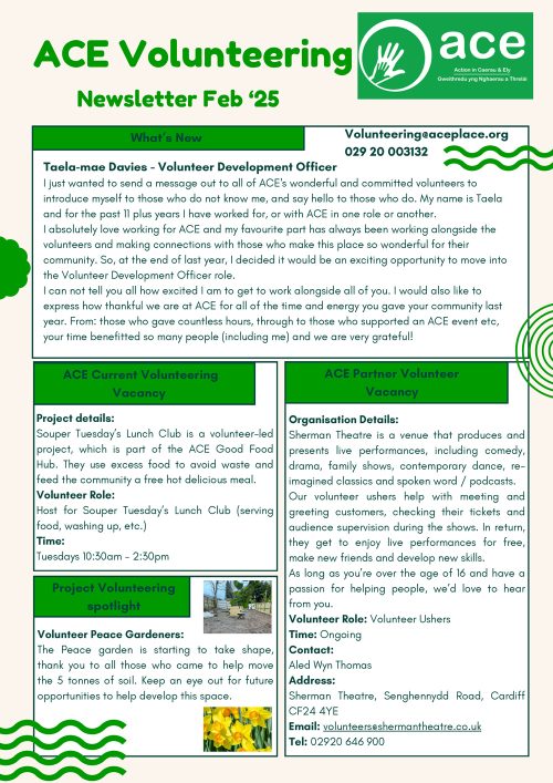 ACE Volunteering Newsletter Feb