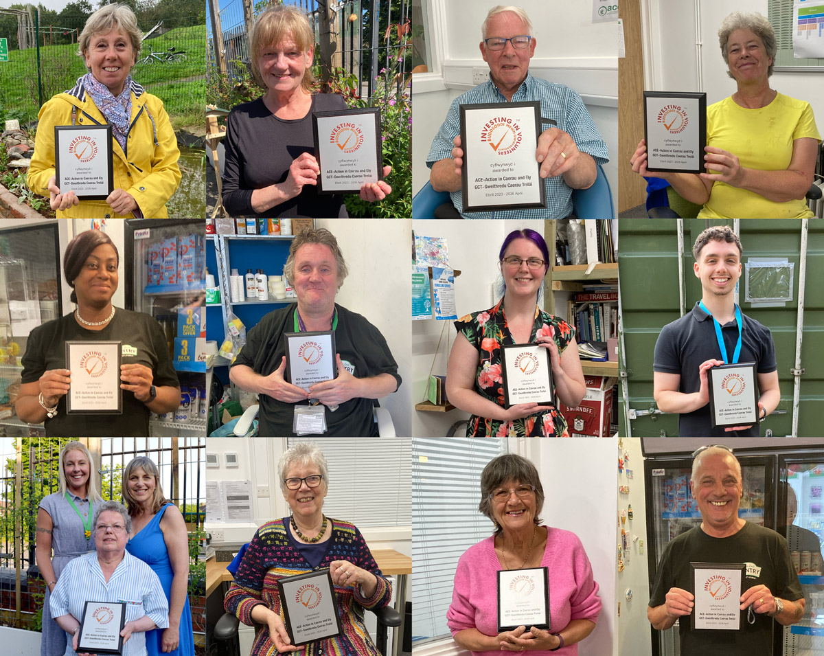 Investing in Volunteers Awards - photo grid