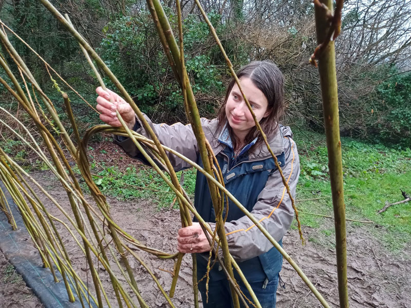 CAER Heritage - arts