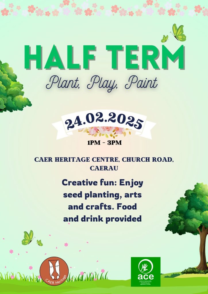 Cardiff Ely Plant Paint Play CAER Heritage