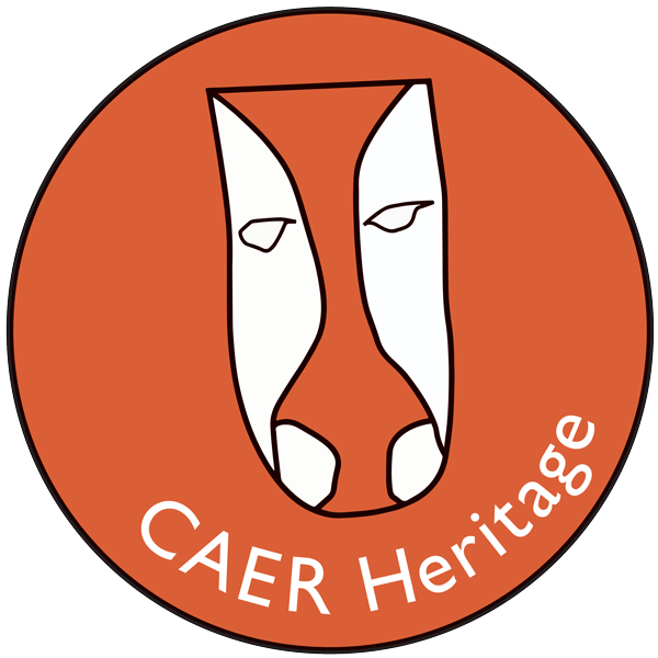 ACE - CAER Heritage Hidden Hillfort Logo